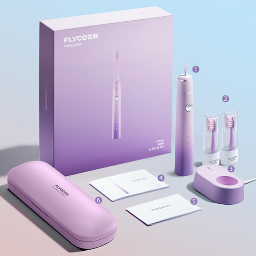 FLYCO electric toothbrush for adults, portable for boyfriend and girlfriend, couple, wedding, birthday, Valentine's Day, New Year's party gift, soft-bristled brush head, intelligent, fully automatic sonic vibration, wireless rechargeable, ice crystal blue, Symphony series, with 2 brush heads