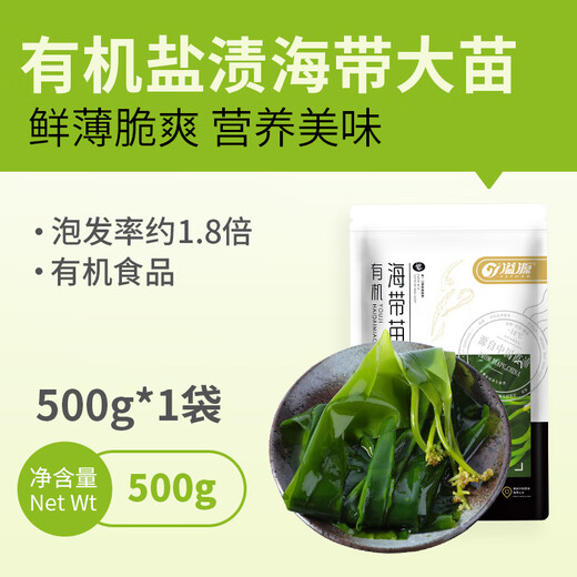 溢源【源头直发】有机盐渍海带苗海带嫩芽500g凉拌凉菜煲汤火锅食材 500g有机盐渍海带大苗