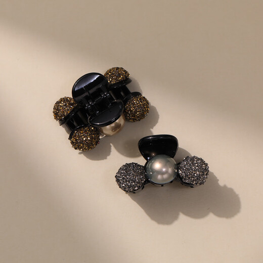 Chimera (CHIMERA) 2-piece hairpins, half-tied hairpins at the back of the head, side bangs clips, hair accessories, headbands, birthday gifts for girls