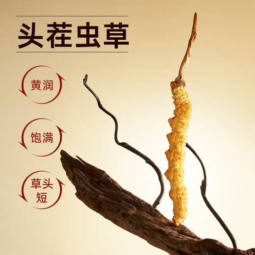 Ayishe Cordyceps sinensis extra large Cordyceps sinensis 100 grams of Broken Grass nourishing and self-use supplements for parents and gifts to elders