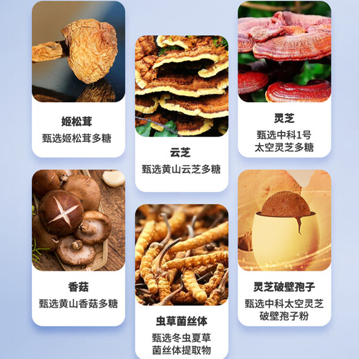 中科爱特胶囊 免疫调节抗突变复合多糖破壁灵芝孢子粉 虫草提取物送礼 100粒/盒