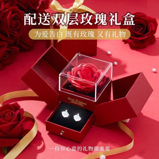 Gift for a long time, Swarovski zirconium earrings, girl’s birthday gift, girl’s wedding anniversary, practical earrings for wife