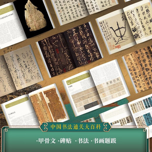 Complete Book of Chinese Calligraphy Gift Box Collection Commemorative Edition Cultural General Calligraphy Collection Encyclopedia History of Calligraphy Biography of Calligraphers