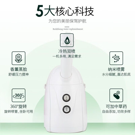 Golden Rice Facial Steamer Hot and Cold Dual Spray Nano Spray Beauty Instrument Hydrating Cold Spray Humidifying Facial Steamer Facial Steamer KD169A White Hot and Cold