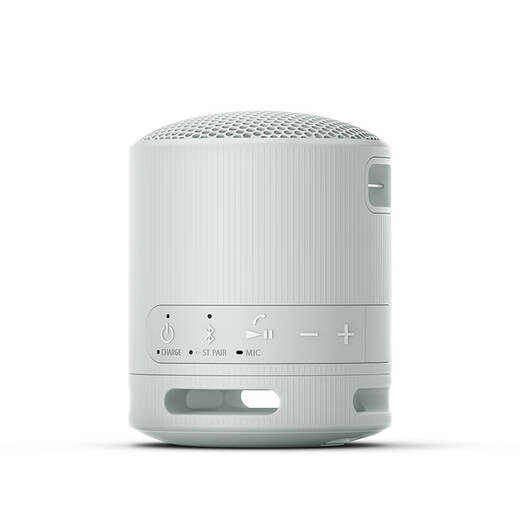 Sony (SONY) SRS-XB100 Haut-parleur Bluetooth Mini caisson de basses portable 16 heures d'autonomie Haut-parleur extérieur étanche et anti-poussière Gris Cadeau