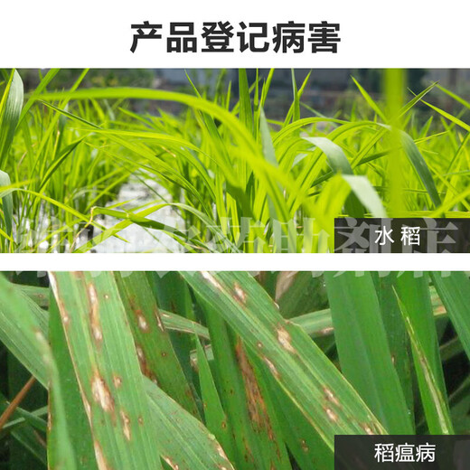 6%春雷霉素杀菌剂叶斑病角斑稻瘟病流胶病柑橘蔬菜软腐细菌病害 1000ml