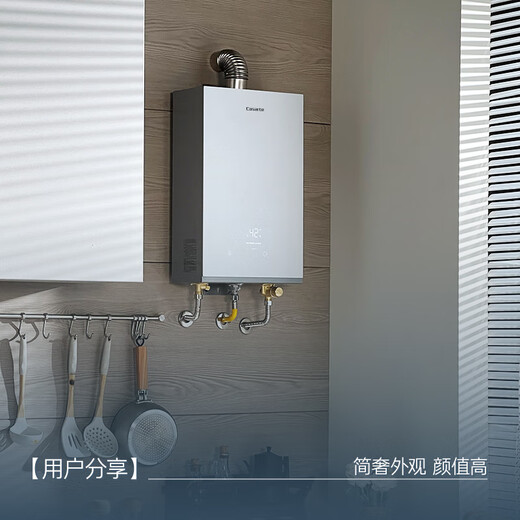 Casarte 16 liters unbounded CWV5 gas water heater natural gas state subsidy trade-in dual drive water servo constant temperature boost silent JSQ31-16CWV5FVXGU1