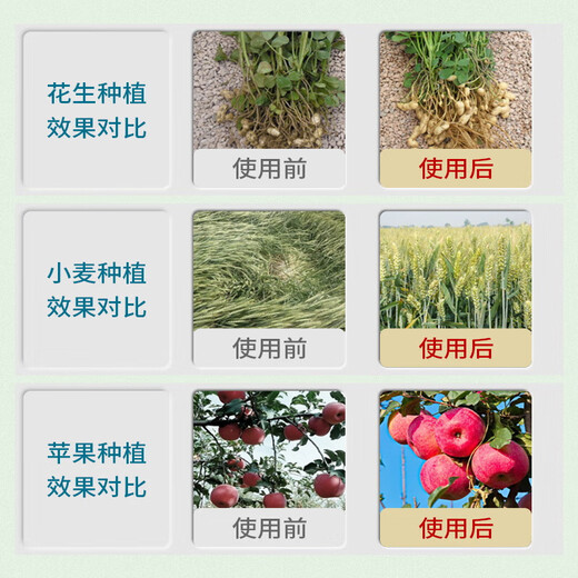 Guoguang 0.01% 24 epibrassinolide lactone strong seedling plant flower-preserving fruit pesticide plant regulator 500ml