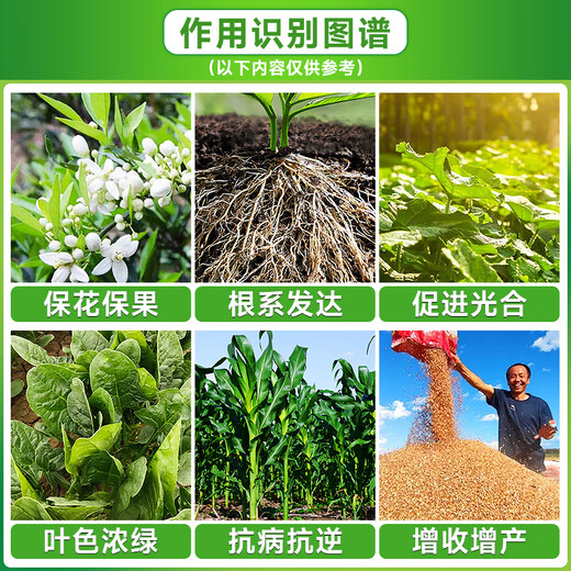 Potassium dihydrogen phosphate for corn, wheat, rice, high phosphorus and high potassium foliar fertilizer, water-soluble fertilizer for fruit trees, vegetables and flowers, 99% potassium dihydrogen phosphate 50g