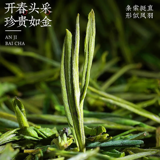 Chen Yifan rare white tea tea green tea Anji Baiye No. 1 tea tree fresh leaves and buds rare white tea 50g Chen Yifan rare white tea tea green tea Anji Baiye No. 1 tea tree fresh leaves and buds rare white tea 50g