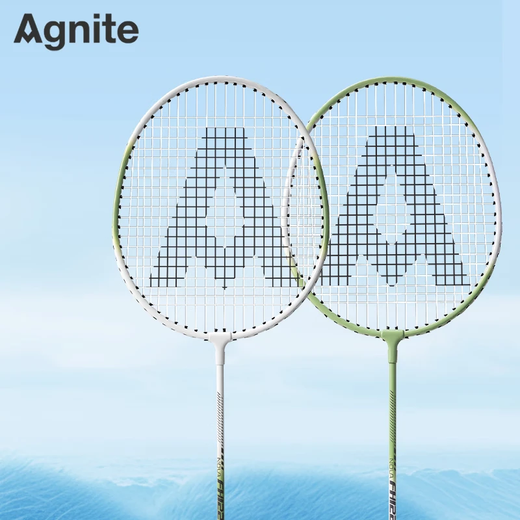 得力（deli）羽毛球拍套装初学者入门级成人专业耐打羽毛拍女生合金超轻正品 尊贵专业级 贈尼龙球3个