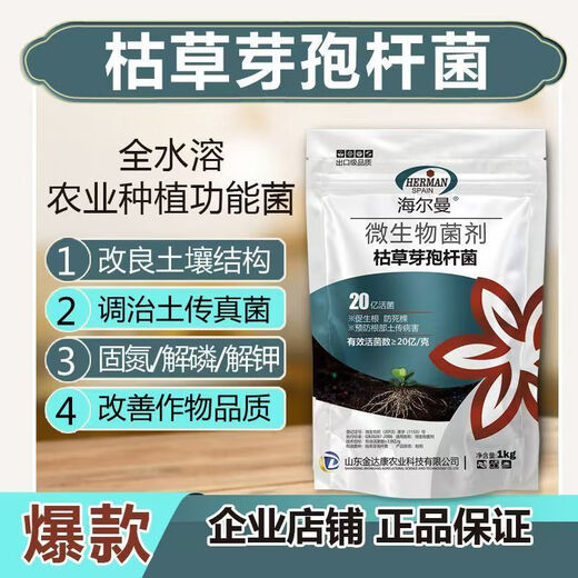 Guanlong Agricultural Chemical Bacillus subtilis compound microbial agent to prevent and control bacterial wilt, root rot, ginger plague and root rot 1000g*1 bag