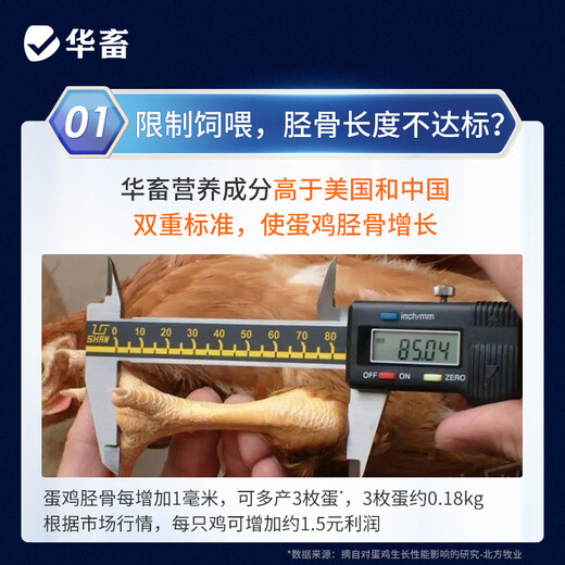 Huazhu 5 layer hen premix, egg production peak period, chicken feed, egg production period feed, reserve chicken early stage compound premix, layer hen breeding period feed, whole ton as low as 90 bags