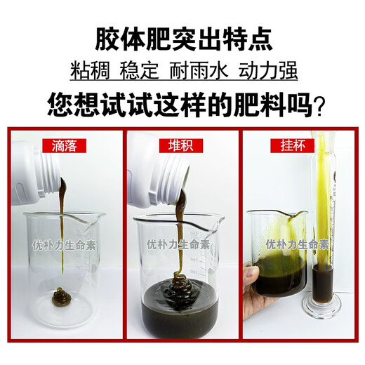 Amino acid foliar fertilizer for fruit trees, vegetables and tea plants, general germination, rooting and seedling preservation, flower and fruit water-soluble fertilizer, Australian brand 1L*6 bottles