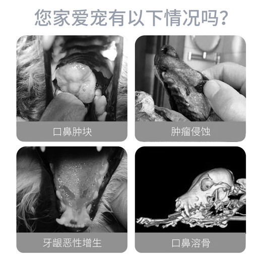 Squam Kangping Pet Dog Oral Tumor and Anal Mass Squamous Carcinoma Cat Oral Tumor Reduction and Elimination of Tumors and Cancer Tumors Three Boxes