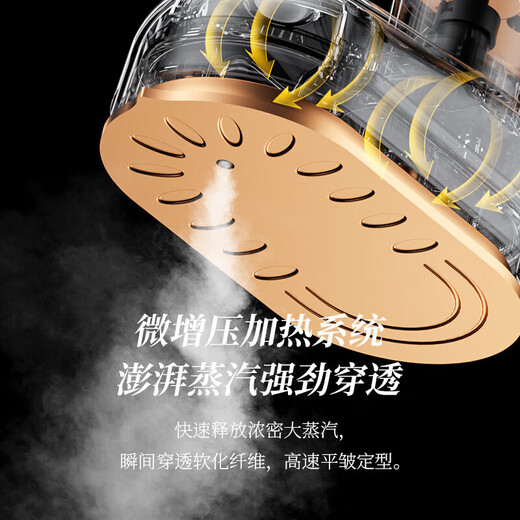 Fat Donglai Handheld Garment Ironing Mechanical and Electric Iron Mini Business Travel Portable Direct Plug Electric Small Beige-Flat Garment Ironing Dual-Purpose National Standard