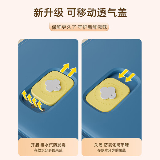 YOUQIN Dumpling Storage Box Freezer Box for Refrigerator Food Grade Dumplings, Wontons and Quick Freezing Special Tray Organizer Can Hold 210 Dumplings Three Layers and One Cover Cyanide Blue