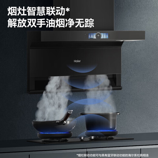 海尔（Haier）变频顶侧双吸抽油烟机 30立方大吸力三吸油烟机 1100Pa强风压 升级热熔自清洁 烟灶联动EC739UD 【单烟机】30m³风量1100Pa风压