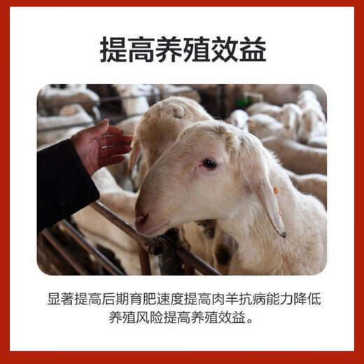 5% mutton sheep premix, Dabeinong core technology, rapid fattening, weight gain, skeleton nutrition, comprehensive authenticity guarantee, 1 pack, 50 Jin Jin is equal to 0.5 kg