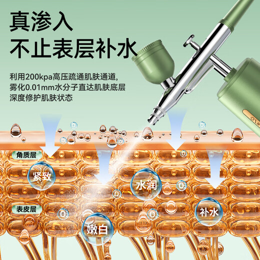 康佳（KONKA）注氧仪家用补水仪面部便携手持高压喷雾器纳米美容仪 【野玫瑰】绿色-烟酰胺版