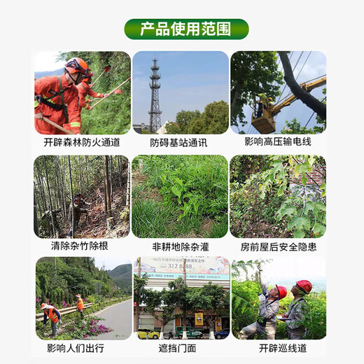 Lima 25% cyclozinone herbicide, root rot agent, miscellaneous irrigation medicine, tree rotten root removal agent, dead root rotten root cyclozinone copper 200g 3 bottles