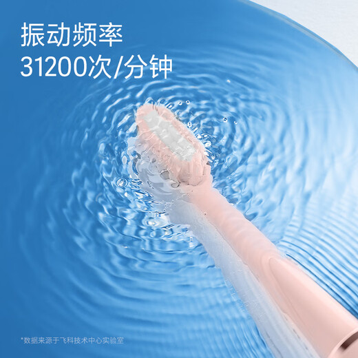 FLYCO Electric Toothbrush for Couples Adult Home Valentine's Day Gift for Men and Women Rechargeable Fully Automatic Sonic Vibration Soft-bristled Toothbrush FT7108 Zhaoxia Powder 2 Original Toothbrush Heads + Stand Charger