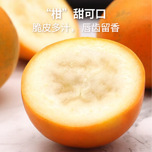 京觅广西融安 第三代脆密金桔 5斤装 单果32g+ 源头直发包邮