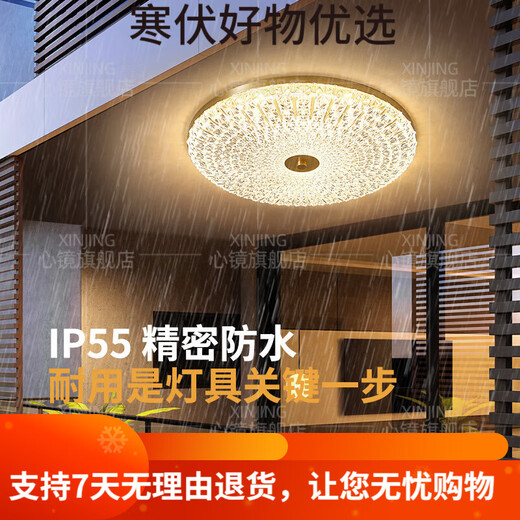 OUOETY心镜全铜户外吸顶灯别墅入户门顶灯简约过道露台阳台灯防水庭 X38 X3895-400/圆形