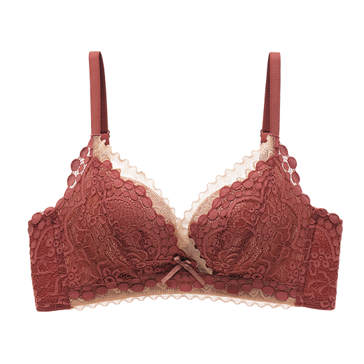 Admire Autumn and Summer Zodiac Year Red Lace Underwear Women's Small Breasts Gather Up to Show Bigger Sexy Secondary Breasts Top-up Pull-up Anti-sagging Bra Wine Red 75/34B