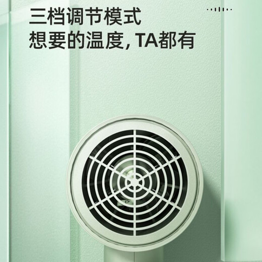 博锐飞科高速电吹风机家用负离子护发大风力速干低噪轻音便携式宿舍学生用不伤发吹风筒 飞科吹风机FH6296不可折叠 1800W绿色