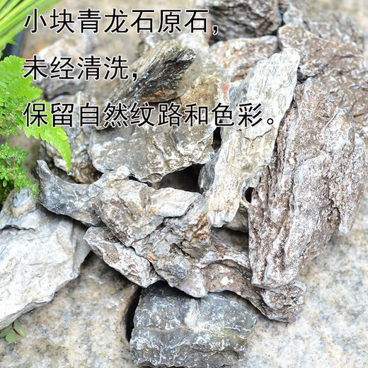 OIMG natural micro-landscape primary color blue dragon stone aquarium fish tank moss plant potted plant decoration grass tank tropical fish breeding turtle 10-12 cm blue dragon stone buy 1 piece solid hair 2 pieces