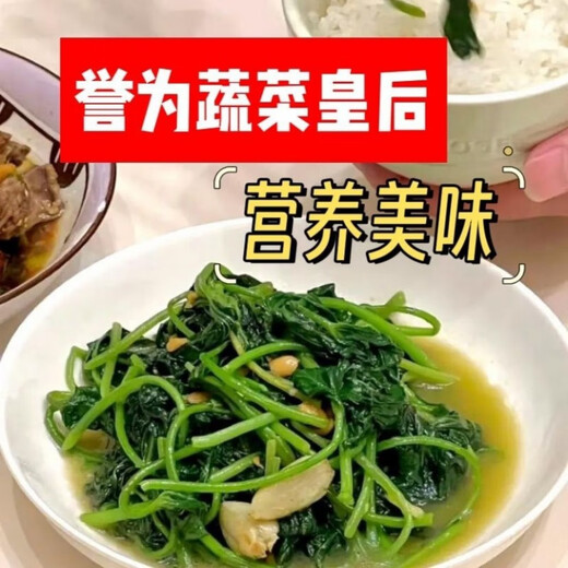 The seedlings are shipped with roots, special for leaf sweet potato seedlings, sweet potato seedlings, sweet potato leaf seedlings, Fushu No. 18, 10 selected seedlings (planted)