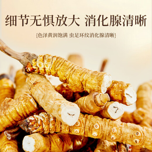 
Cordyceps sinensis, purple and blue flowers sea, cordyceps sinensis, fine pure meat festival, high cost-effectiveness, 10 grams of broken grass [self-use nourishing]