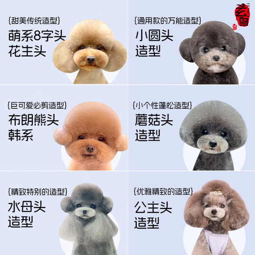 Xuanniao Teddy Bichon Beauty Scissors Pet Scissors Set Dog Shearing and Trimming Scissors Recommended by beauticians Hot choice 3 pieces 6.5 curved + 6.5 teeth + 6.5 fish bone