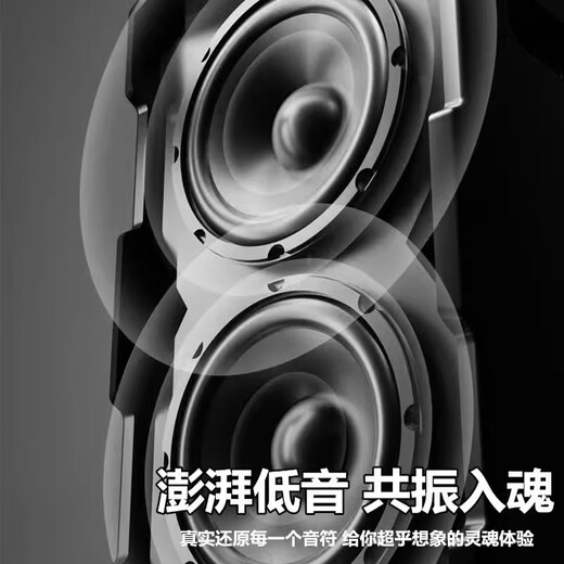 Bede Bede Daofeng 1981 outdoor portable mobile high-power performance square dance instrument playing and singing karaoke sound column audio outdoor high-power mobile audio