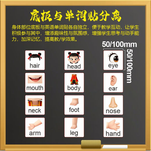 
Cartoon Nezha Body Parts English Word Magnet Children's Cognitive Body Parts Structure Wall Chart English Teaching Aids Small English Word Magnet