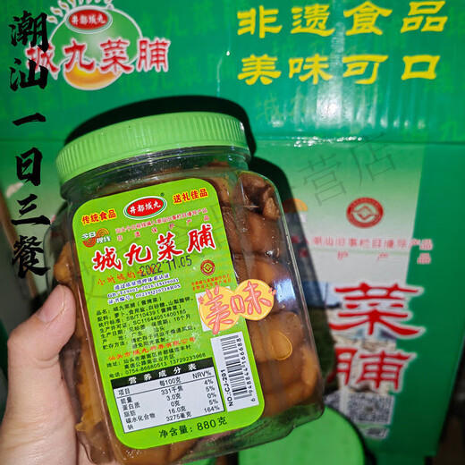 食怀潮汕特产菜脯城九菜脯脆萝卜干880g农家自制下饭菜早餐粥土特产 城九菜脯880g*1