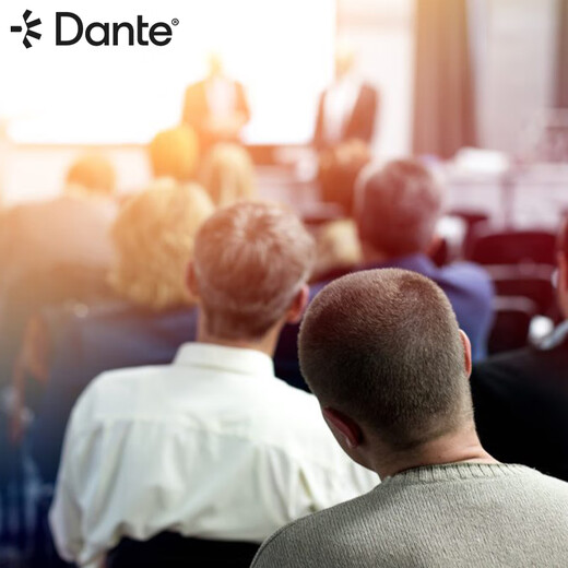 DANTE BY AUDINATE DVS Virtual Sound Card Digital Audio Adapter Application DVS-TK-003 DVS-TK-RES (Non-Transferable License)