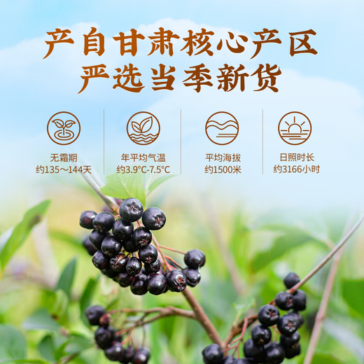 Lei Yunshang Gansu Black Wolfberry Black Fruit Wolfberry 120G питает печень и почки, чтобы улучшить зрение. Он используется для восхитительной талии и коленей, импотенции, сперматозоидов и нерегулярной менструации. Стандартное китайское травяное медицина, пропитанные в водяных тонических продуктах