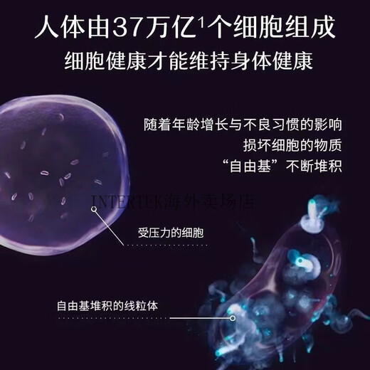 Mitoq importiert aus Neuseeland MitoQ Augenschutzkapseln Augenschutz Blaubeere Heidelbeere Lutein Q10 gegen blaues Licht 60 Kapseln zur Linderung MitoQ helle Augenkapseln * 2 Flaschen