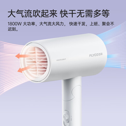 FLYCO hair dryer negative ion household high-power hair dryer dormitory students portable foldable 1800W foldable milk white