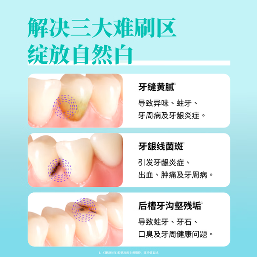 Huibaishi small wide-head toothbrush with medium hair zero white teeth adult gum protection imported from Japan 2 jelly-colored random colors