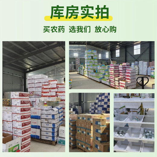 Bayer Dragon Deng Aizengmei Cytokinin Promotes Flower Bud Branching Propionyl Brassinolide Regulates Growth and Promotes Growth 500ml x 1 Bottle