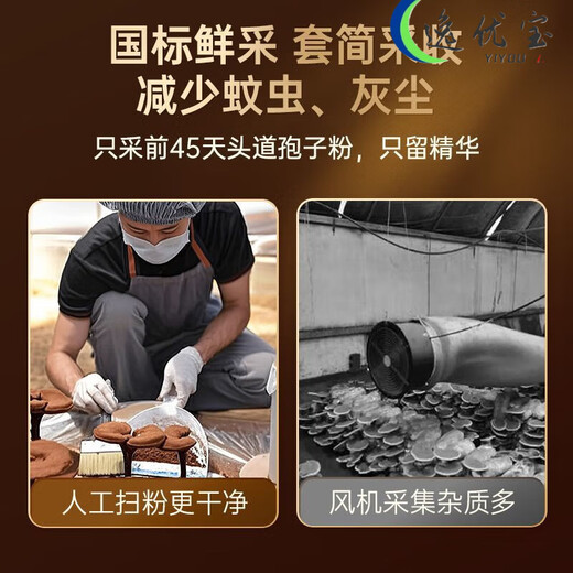 Tongrentang Broken Ganoderma Spore Powder Gift Box Official Chinese New Year Gift Selection 1 box in total 90 bags 15g/box*6 boxes