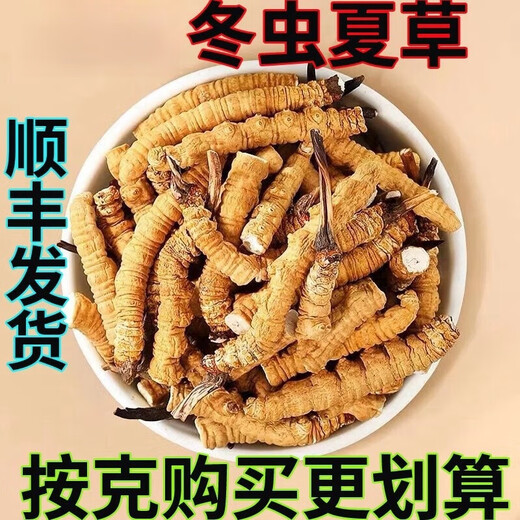 正宗雪山藏区野那l曲高海拔雪山冬虫夏草整草虫草断虫草按克按条 西藏那曲雪山虫草整肉1克