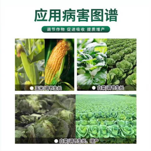 Guoguang Youlehong 8% amine fresh ester coloring, rooting, cold and drought resistance, promoting cell division, flower and fruit preservation growth regulator 200ml 5 bottles