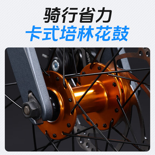 Lanling Lanling Bicycle Magnesium Alloy Folding Bicycle for Adult Male and Female Students Super Light and Trunk Transmission Bicycle Gray 20 Inch (Suitable for 150-180cm) 8 Speed