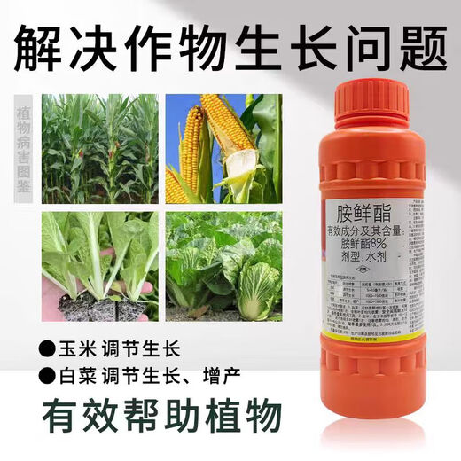 Guoguang 8% amine ethyl coloring, growth promoter, root production, cell division, flowering, fruit resistance, cold and drought resistance growth regulator 200ml*1 bottle