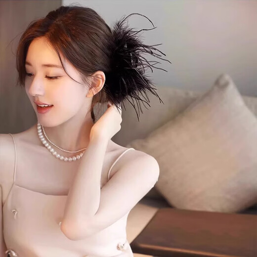 Bai Shilin's temperament feather clip for women's high-end 2025 new style shark clip for hair on the back of the head, high-end bird feather clip headwear, extra large size 13cm