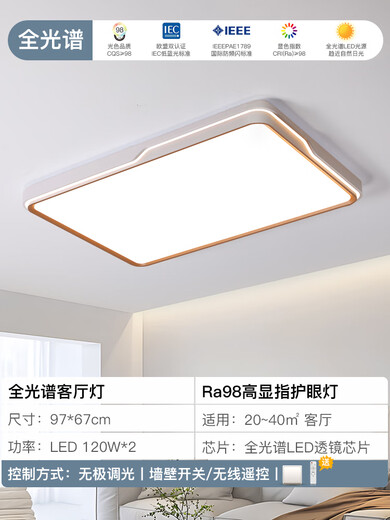 佛山灯饰全光谱护眼卧室灯led吸顶灯现代简约客厅灯主卧房间餐厅 白金款9767cm无极调光[全光谱